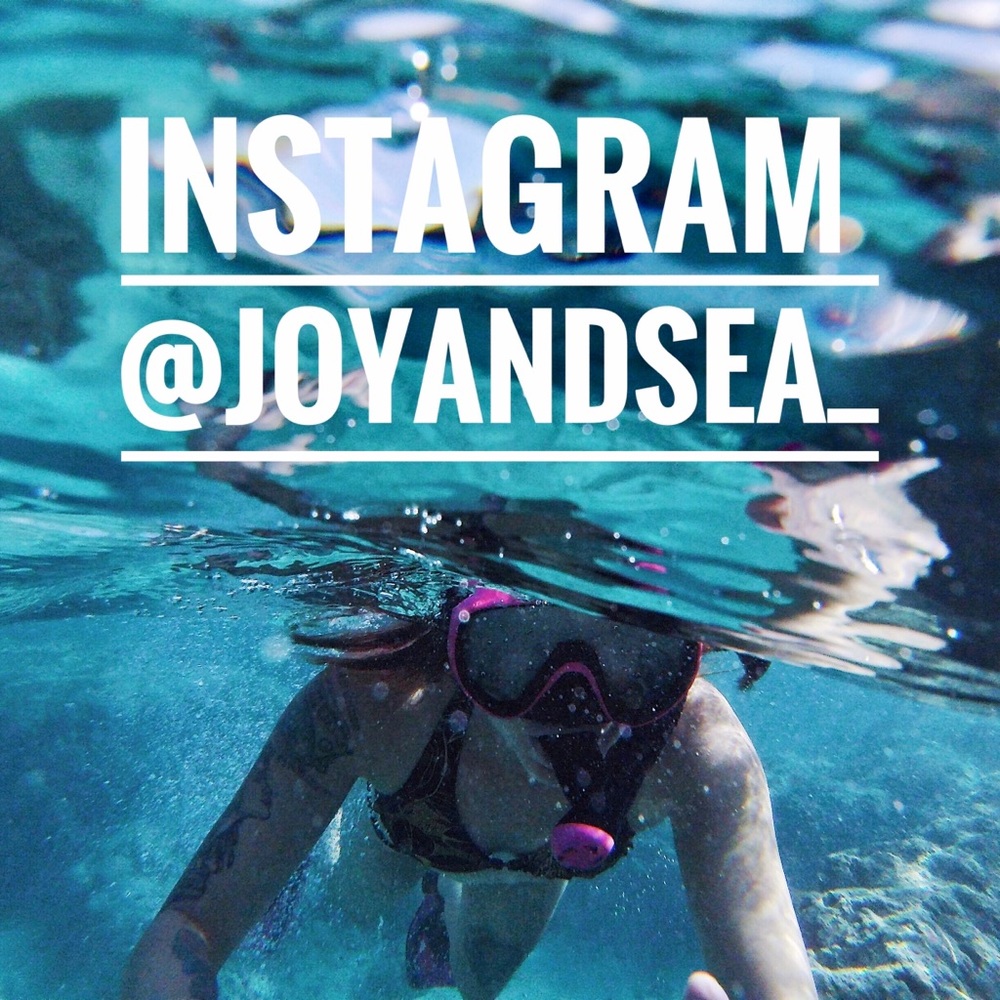 Find me on Instagram 🌴🦩🐚